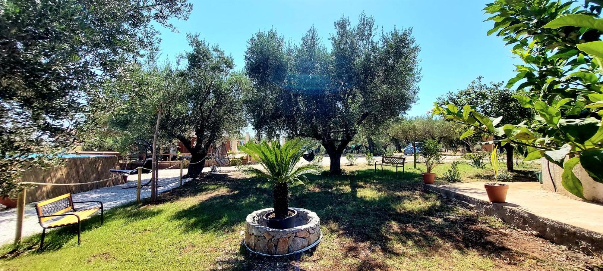 מרינה די קמרוטה Parco Esmeralda - Family Residence E Breakfast מראה חיצוני תמונה